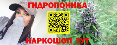 ГАЛЛЮЦИНОГЕННЫЕ ГРИБЫ Северобайкальск